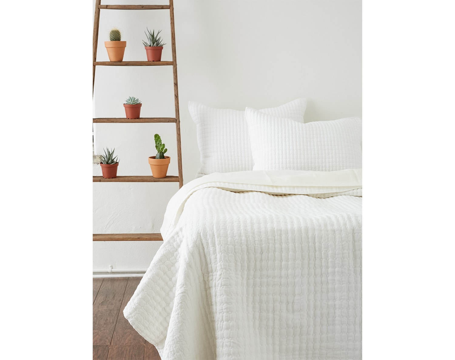The Catalina Collection - White