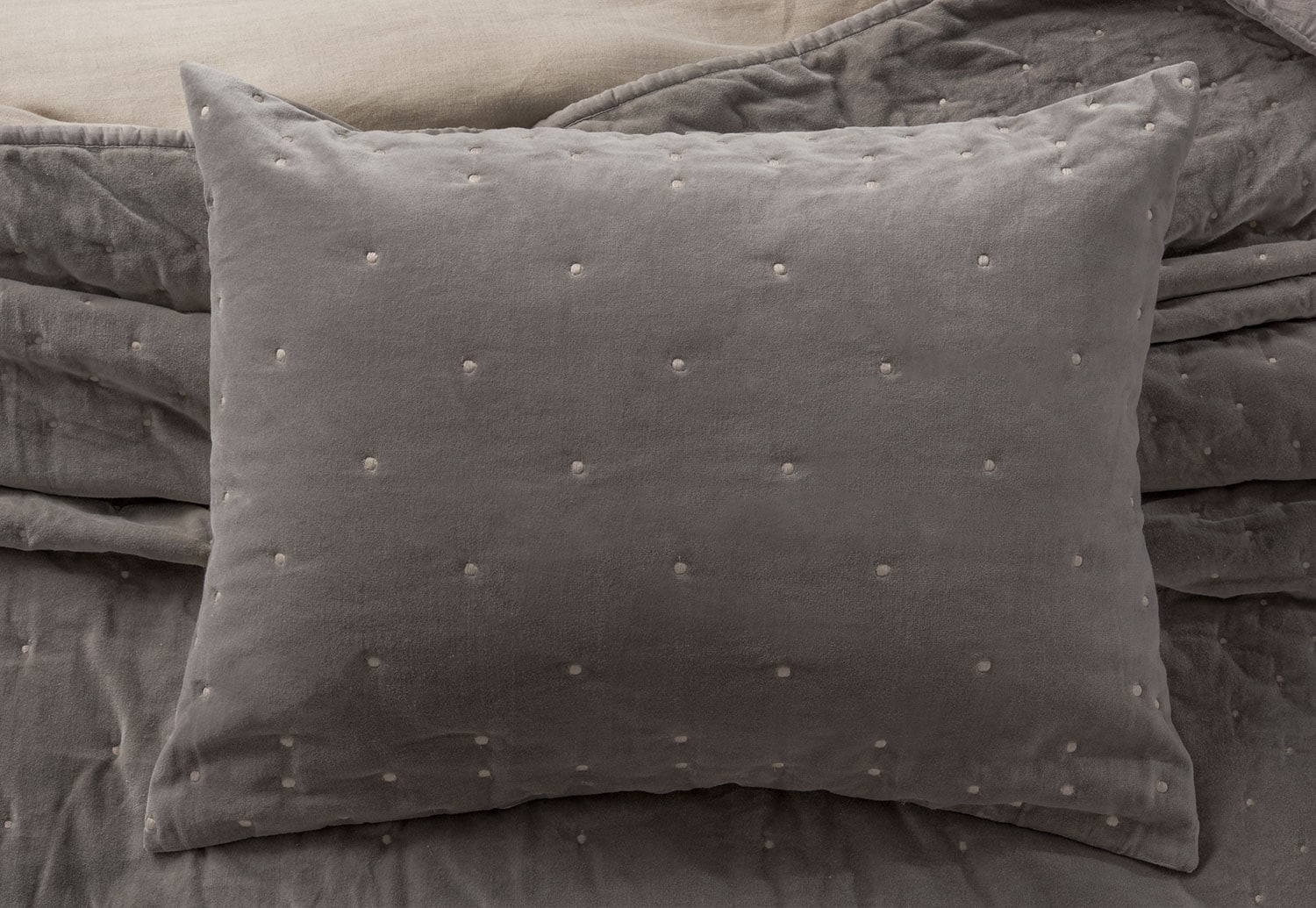 The Giavonna Collection - Plum