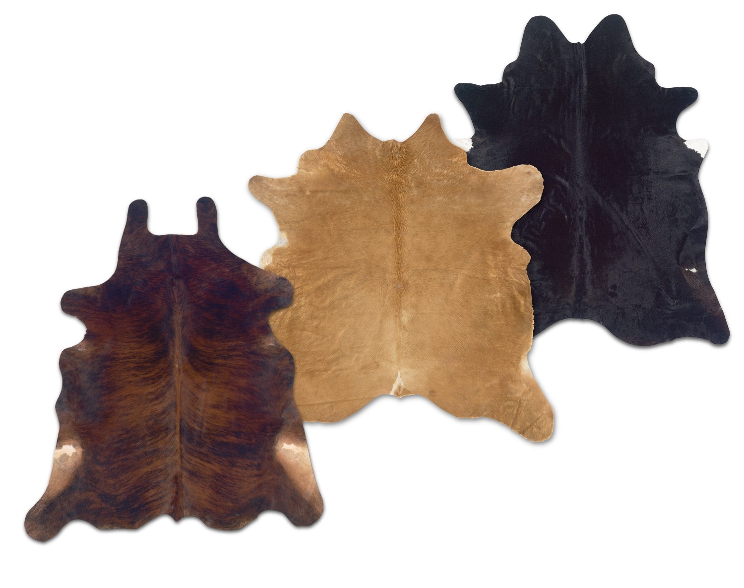 The Cowhide Collection