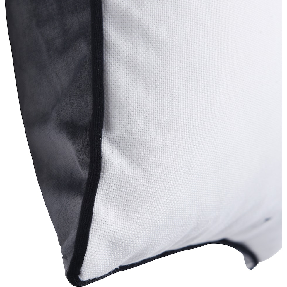 albert einstien pillow black white accent pillow   