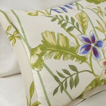 ambrosia green full queen bedding set   