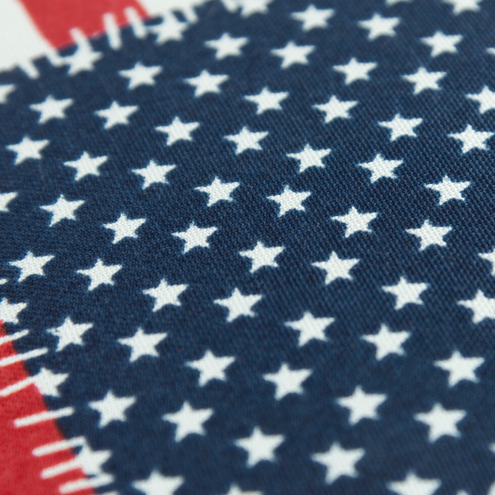 america multicolor outdoor pillow   