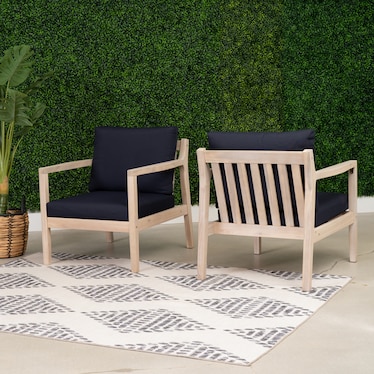Annotto Bay Set Of 2 Outdoor Chair