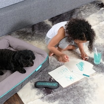 arlan gray pet furniture   