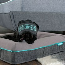 arlan gray pet furniture   