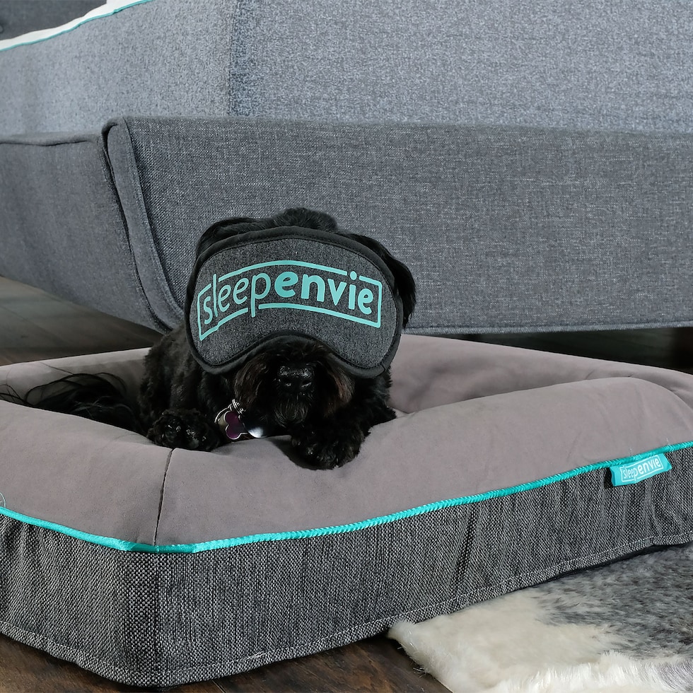 arlan gray pet furniture   
