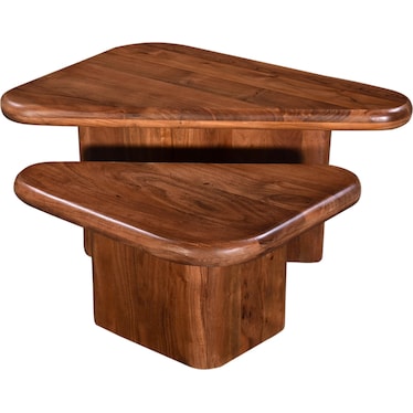 Ashra 2-Piece Coffee Table Set