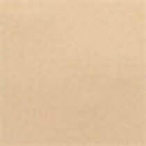 beige swatch  