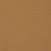 benji light brown  pc living room   