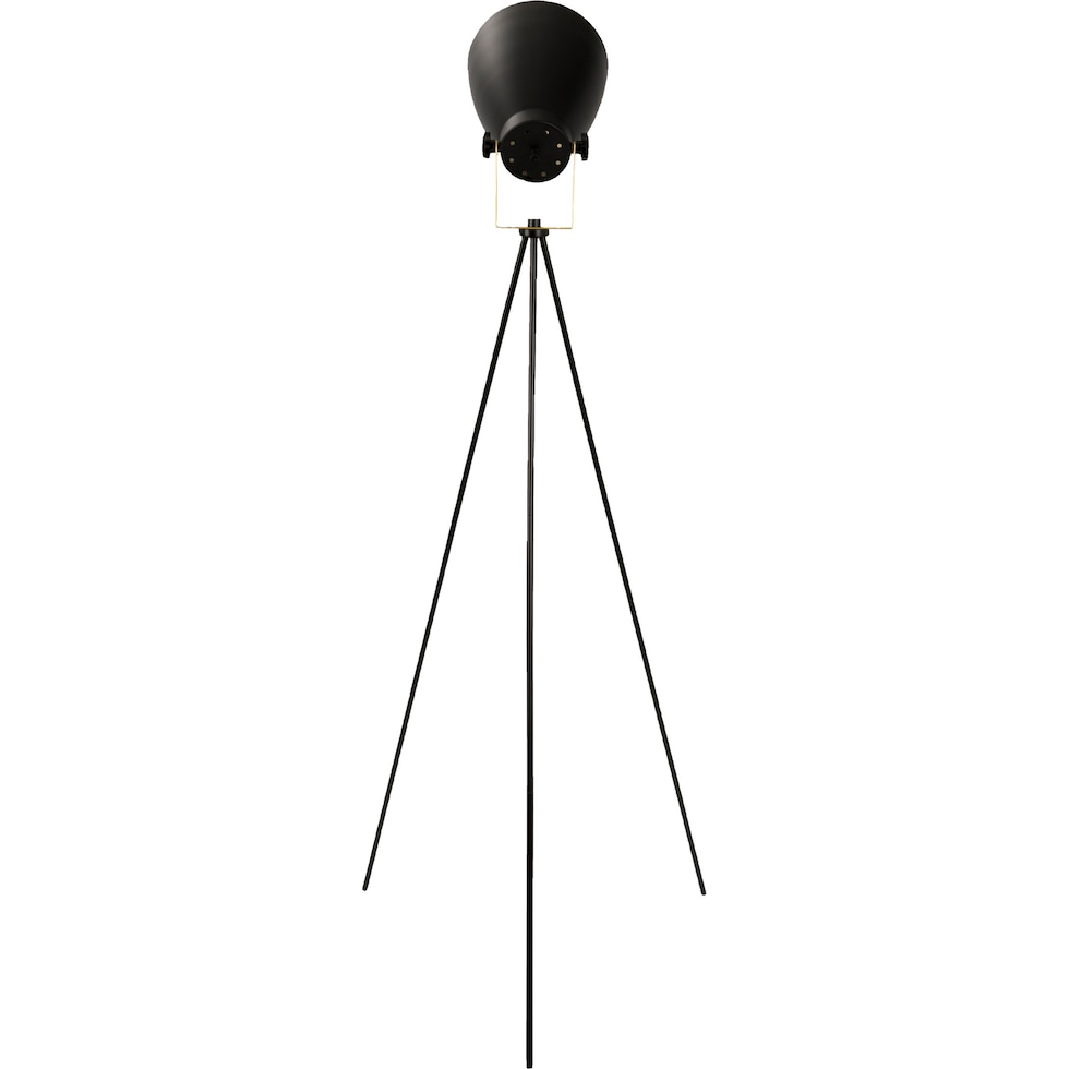 benoit black gold floor lamp   
