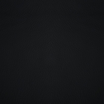 black swatch  