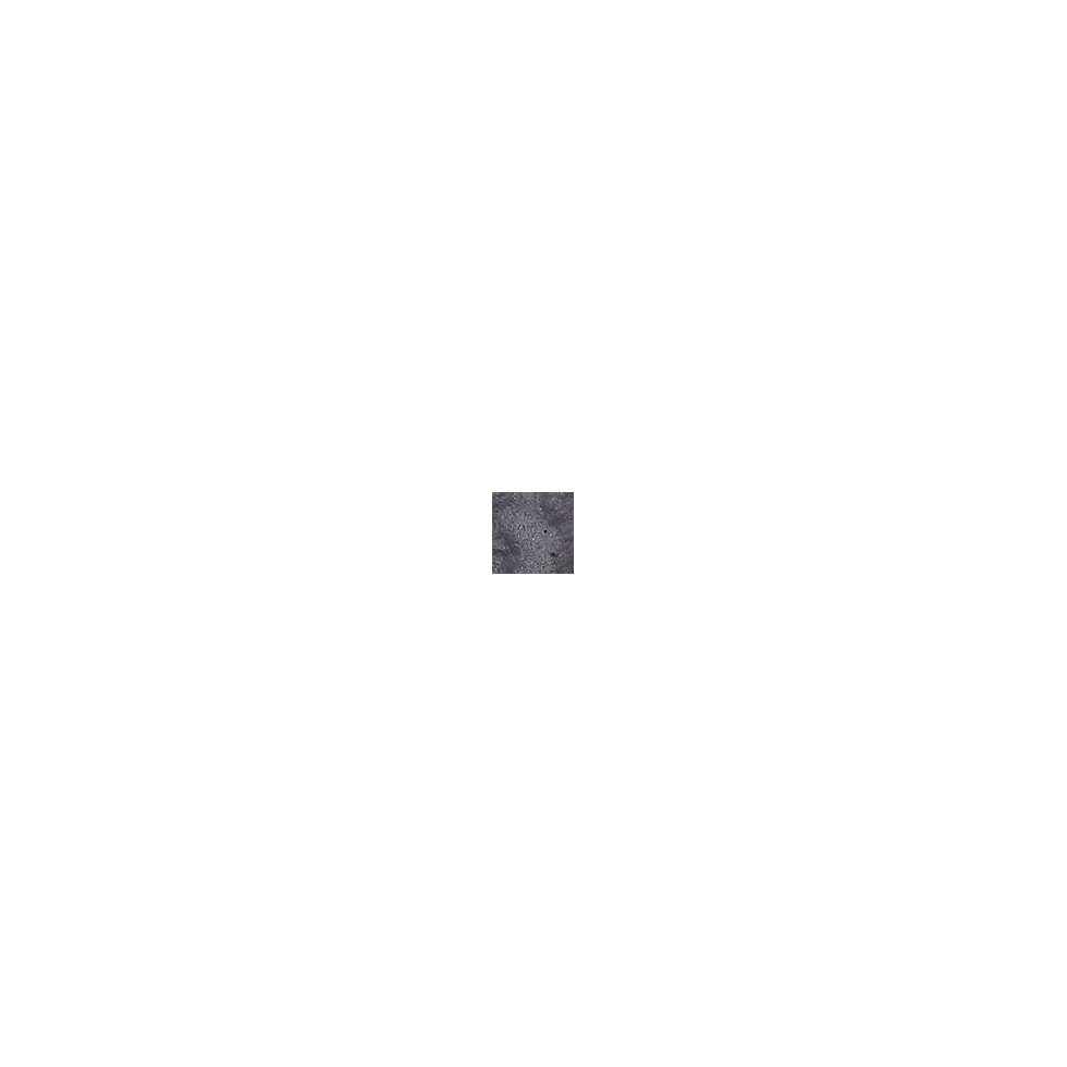 black swatch  