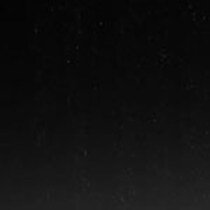 black swatch  