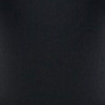 black swatch  
