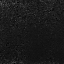 black swatch  