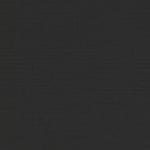 black swatch  