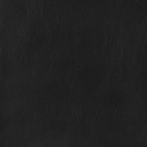 black swatch  