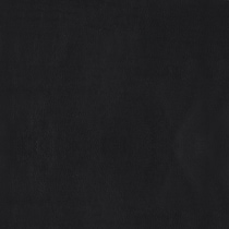 black swatch  