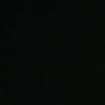 black swatch  