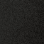black swatch  