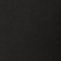 black swatch  