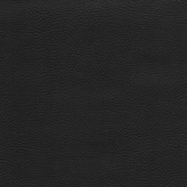 black swatch  