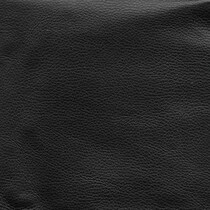 black swatch  