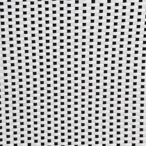 black white swatch  