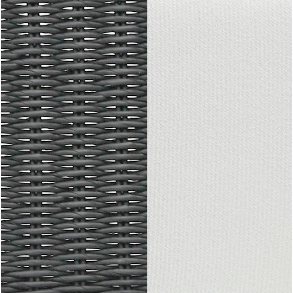 black white swatch  
