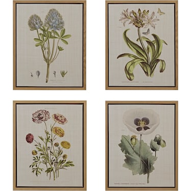 Bloomer 4-Piece 22'' x 18'' Wall Art Set