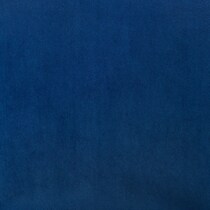 blue black swatch  