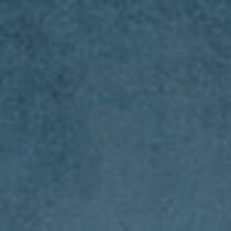 blue swatch  