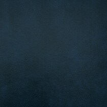 blue swatch  
