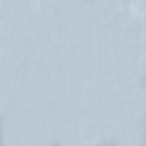 blue swatch  