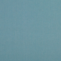 blue swatch  