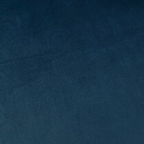 blue swatch  