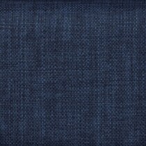blue swatch  
