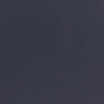 blue swatch  
