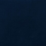 blue swatch  