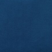 blue swatch  