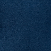 blue swatch  