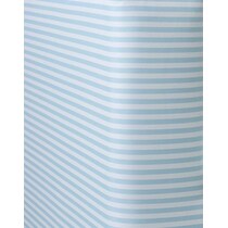 blue swatch  