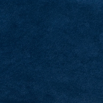 blue swatch  