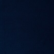 blue swatch  