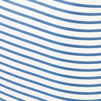 blue swatch  