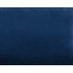 blue swatch  