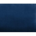 blue swatch  