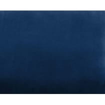 blue swatch  