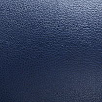 blue swatch  