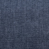 blue swatch  